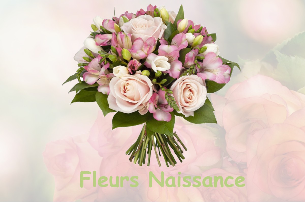 fleurs naissance BRIE-ET-ANGONNES