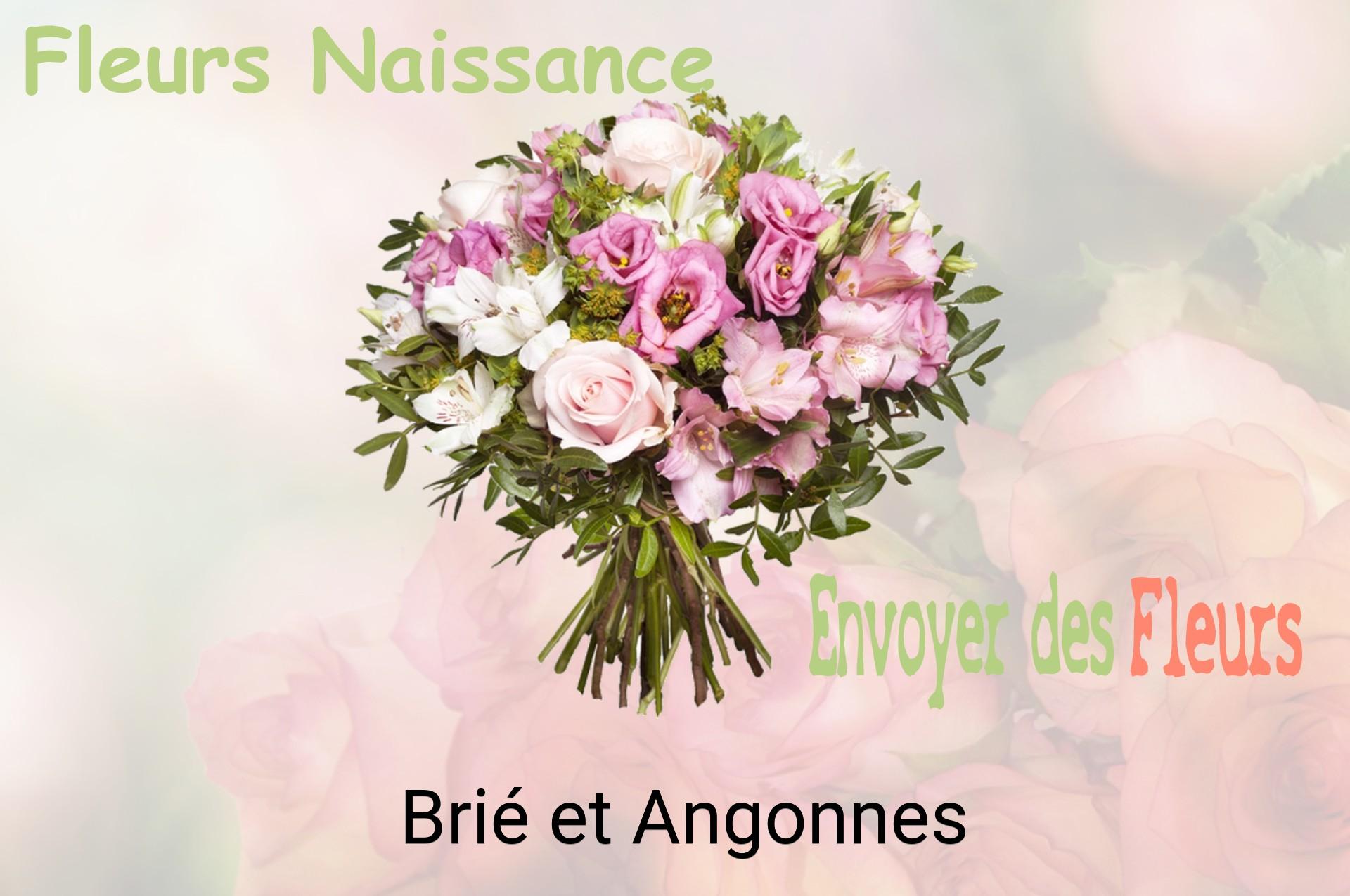 Bouquet de fleurs de naissance livré à Brié-et-Angonnes
