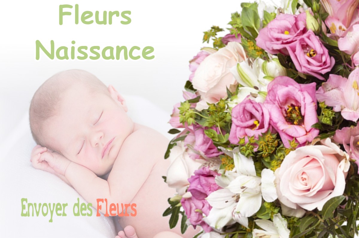 lIVRAISON FLEURS NAISSANCE à BRIE-ET-ANGONNES